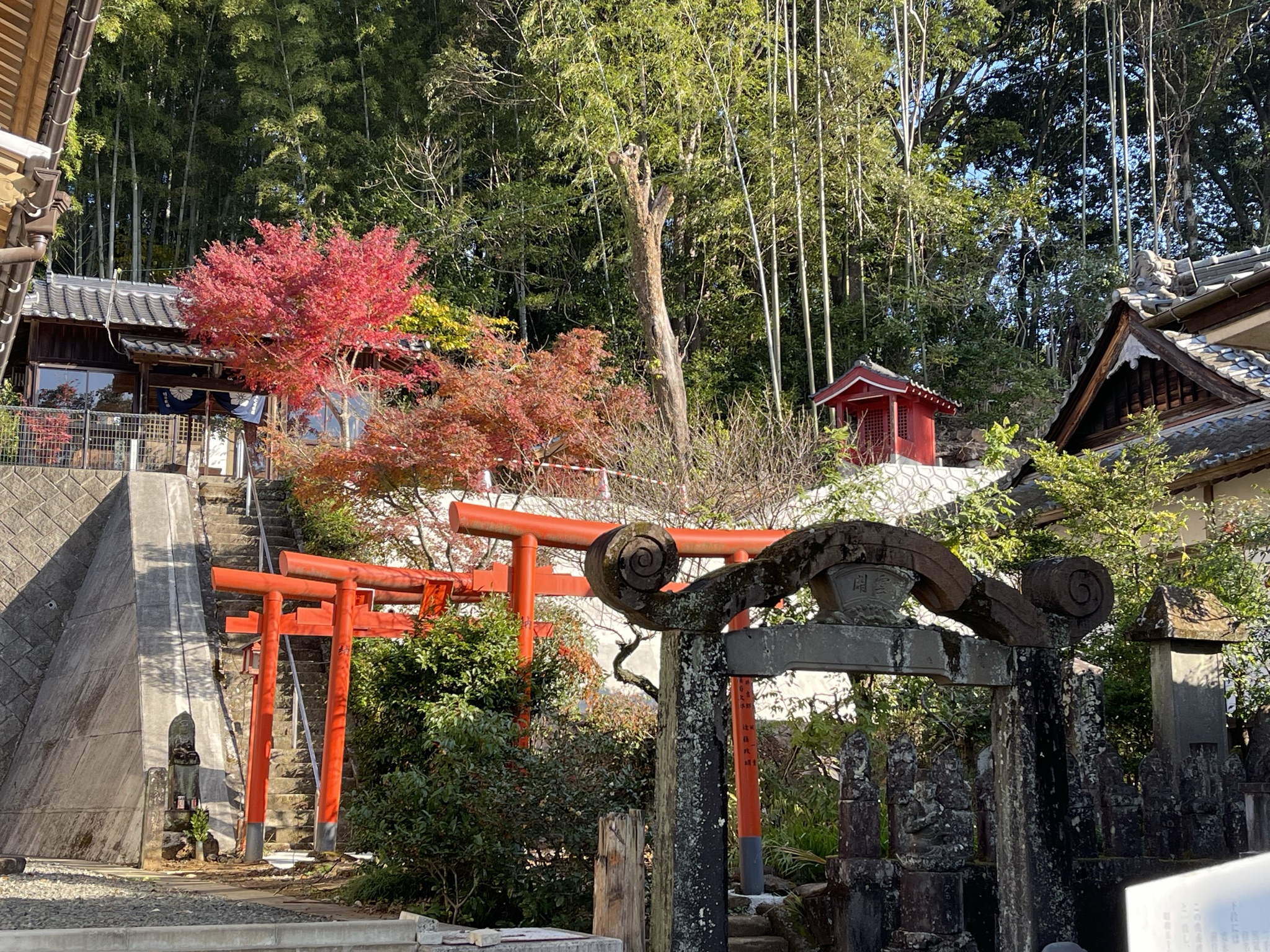 竹林と紅葉を背景に、朱色の鳥居が並ぶ境内の風景