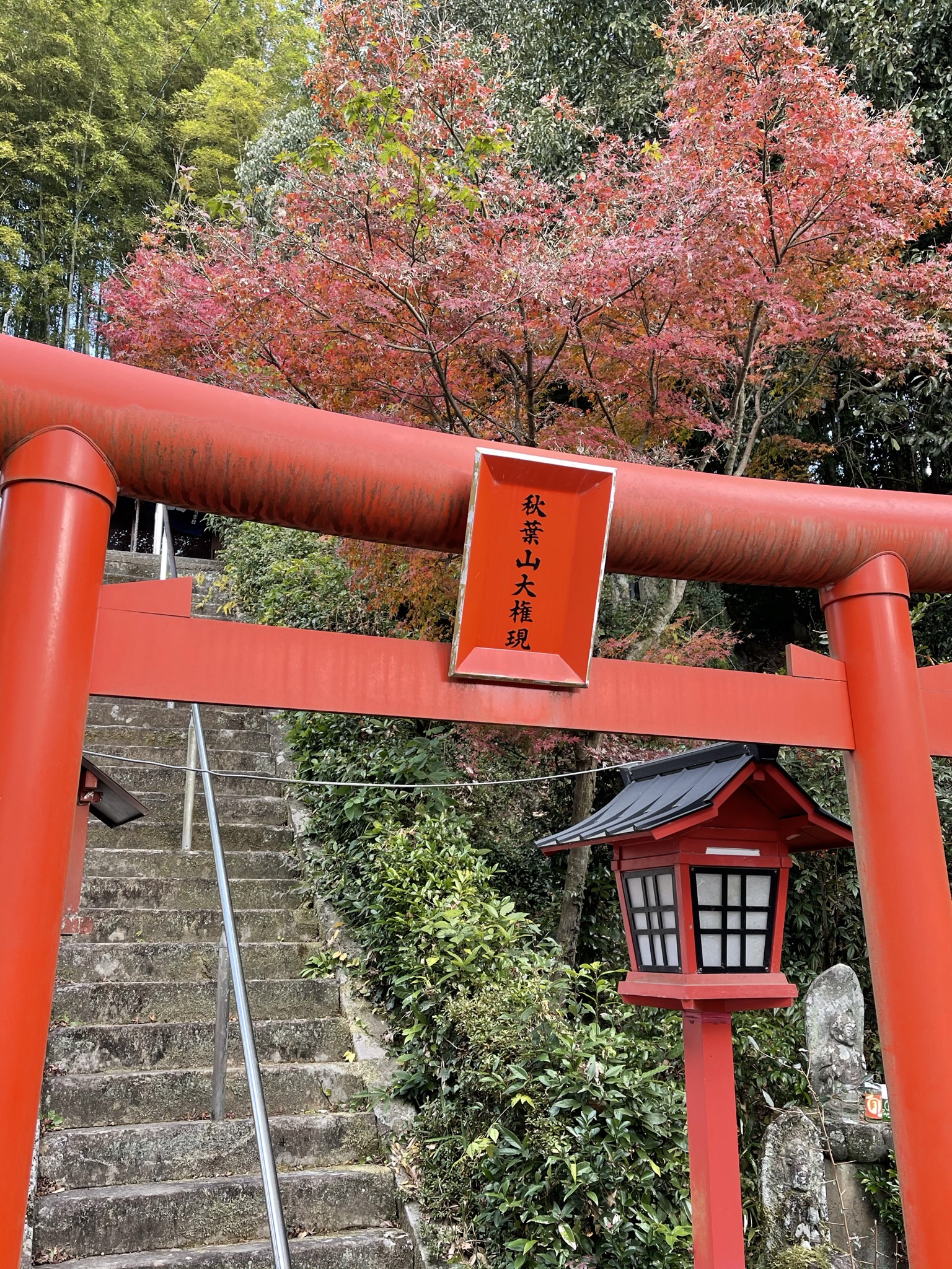秋葉山大権現と書かれた朱色の鳥居と、その先に続く石段